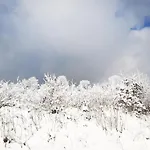 Fewo Mit Terrasse Und Bergblick- Winterberg