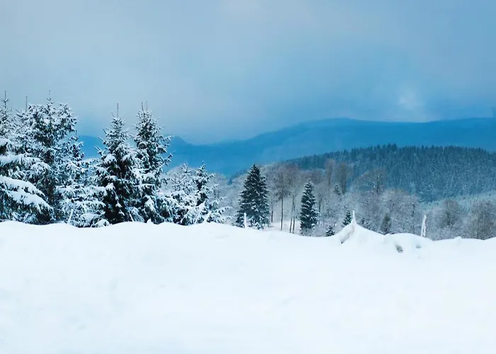 Fewo Mit Terrasse Und Bergblick- Winterberg