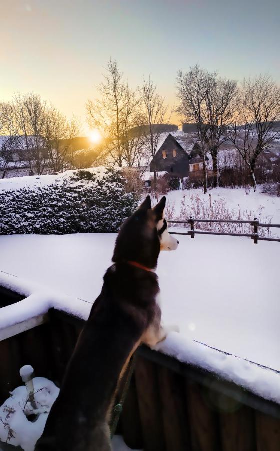 Appartement Fewo Mit Terrasse Und Bergblick- Winterberg