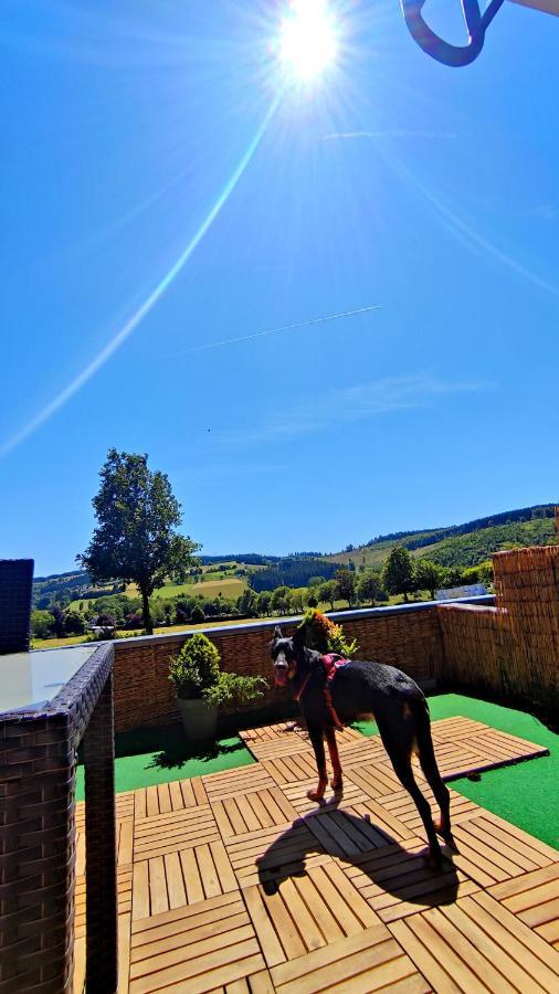 Fewo Mit Terrasse Und Bergblick- Appartement