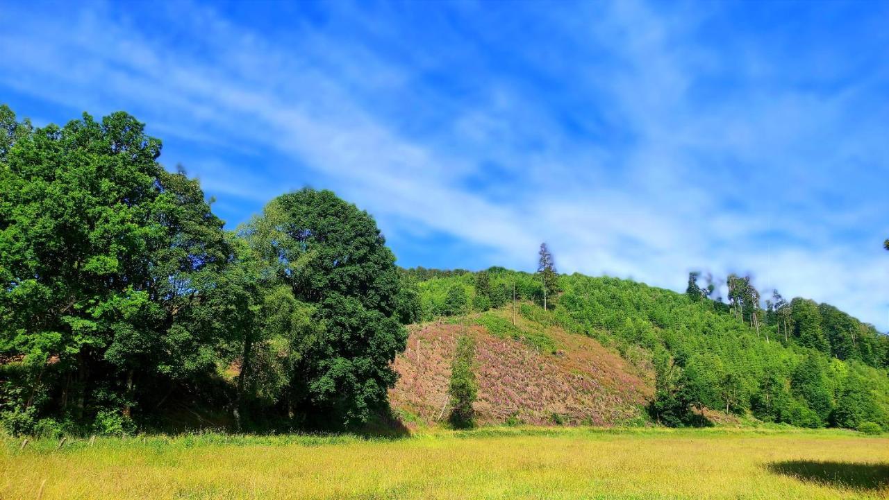 Fewo Mit Terrasse Und Bergblick- Appartement Winterberg