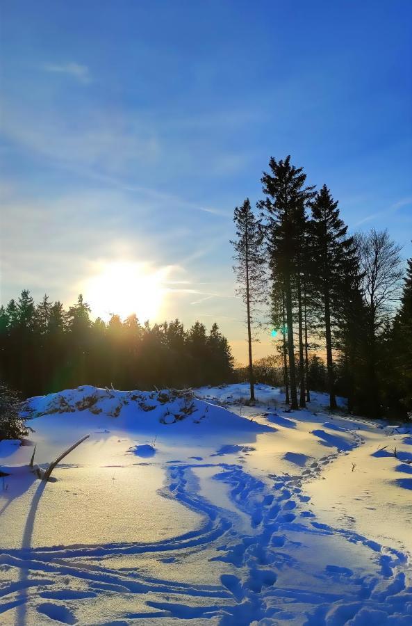 Fewo Mit Terrasse Und Bergblick-