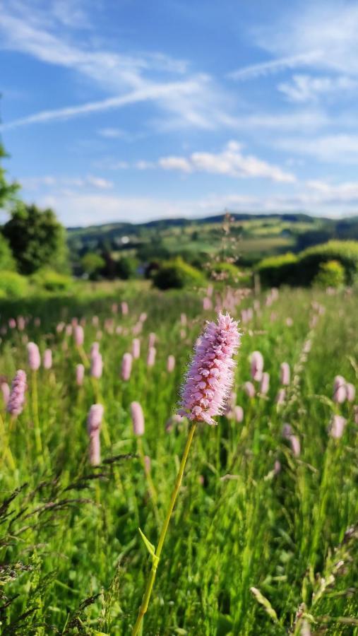 Fewo Mit Terrasse Und Bergblick-