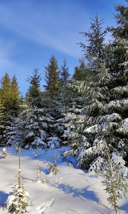 Fewo Mit Terrasse Und Bergblick- * Winterberg