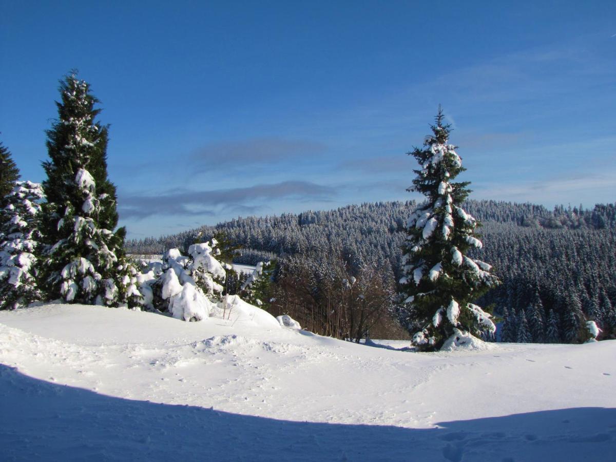 Fewo Mit Terrasse Und Bergblick-