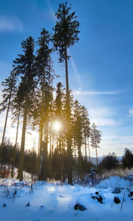 Fewo Mit Terrasse Und Bergblick- Appartement Winterberg