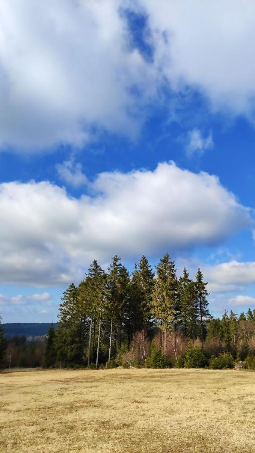 Appartement Fewo Mit Terrasse Und Bergblick- *