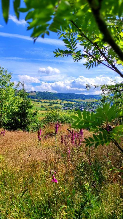 Fewo Mit Terrasse Und Bergblick- Appartement Winterberg