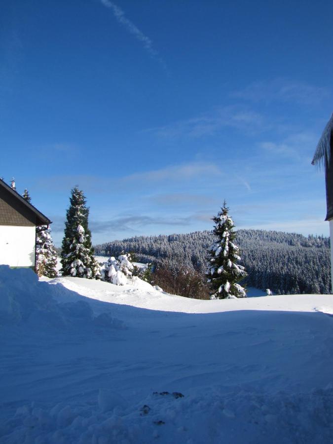 Fewo Mit Terrasse Und Bergblick- Appartement Winterberg