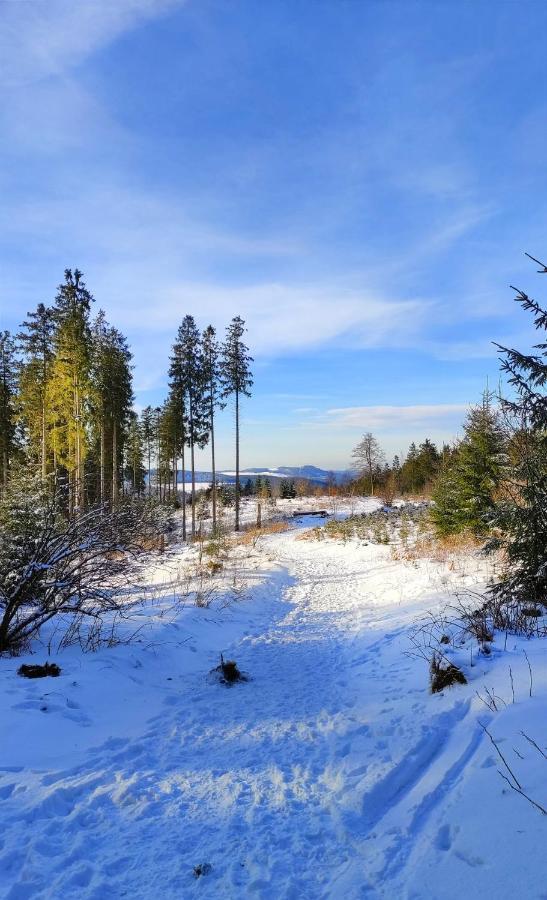 Fewo Mit Terrasse Und Bergblick- *