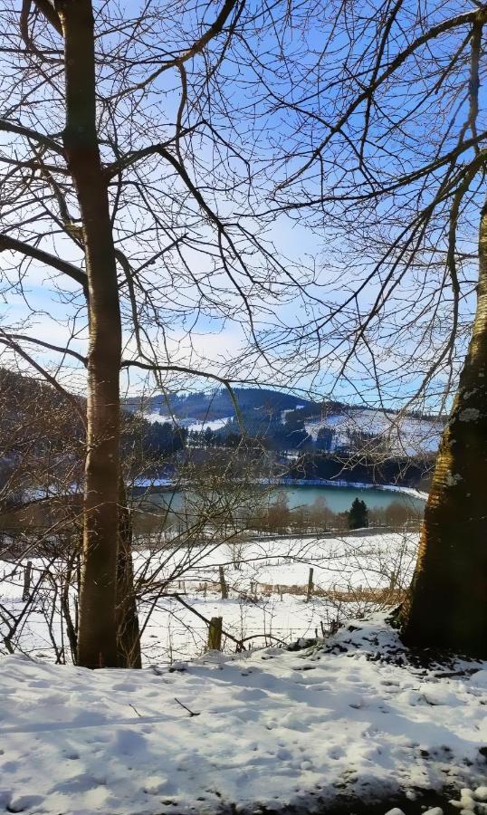Fewo Mit Terrasse Und Bergblick- Appartement Winterberg