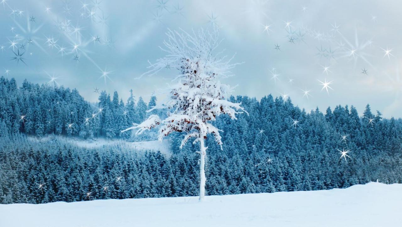 Fewo Mit Terrasse Und Bergblick- * Winterberg