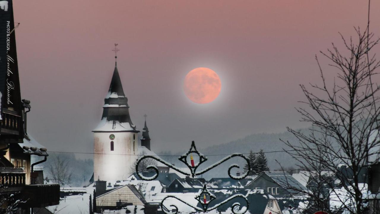 Fewo Mit Terrasse Und Bergblick- Appartement