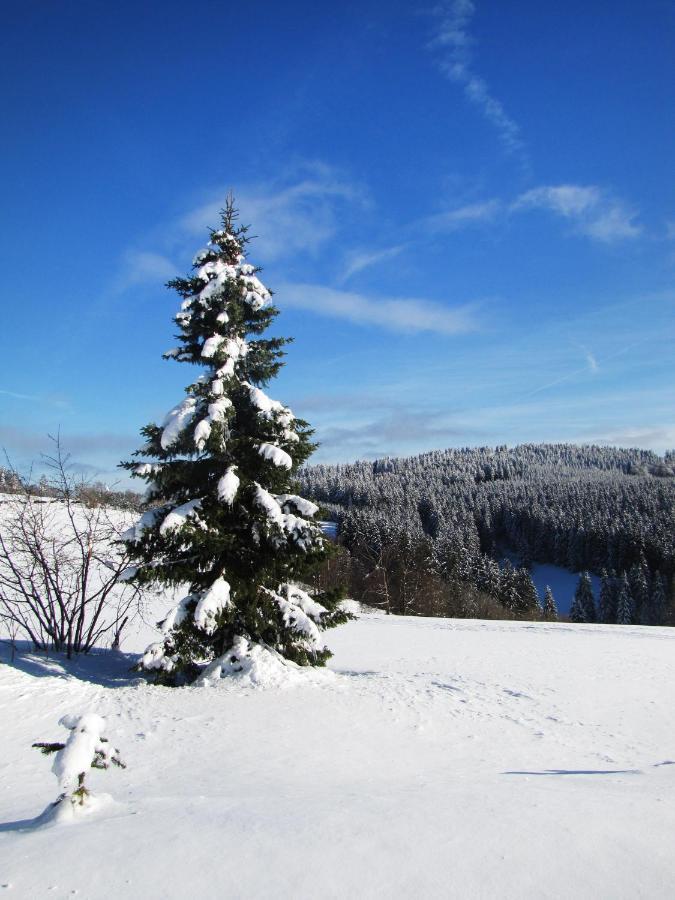 Fewo Mit Terrasse Und Bergblick- Appartement